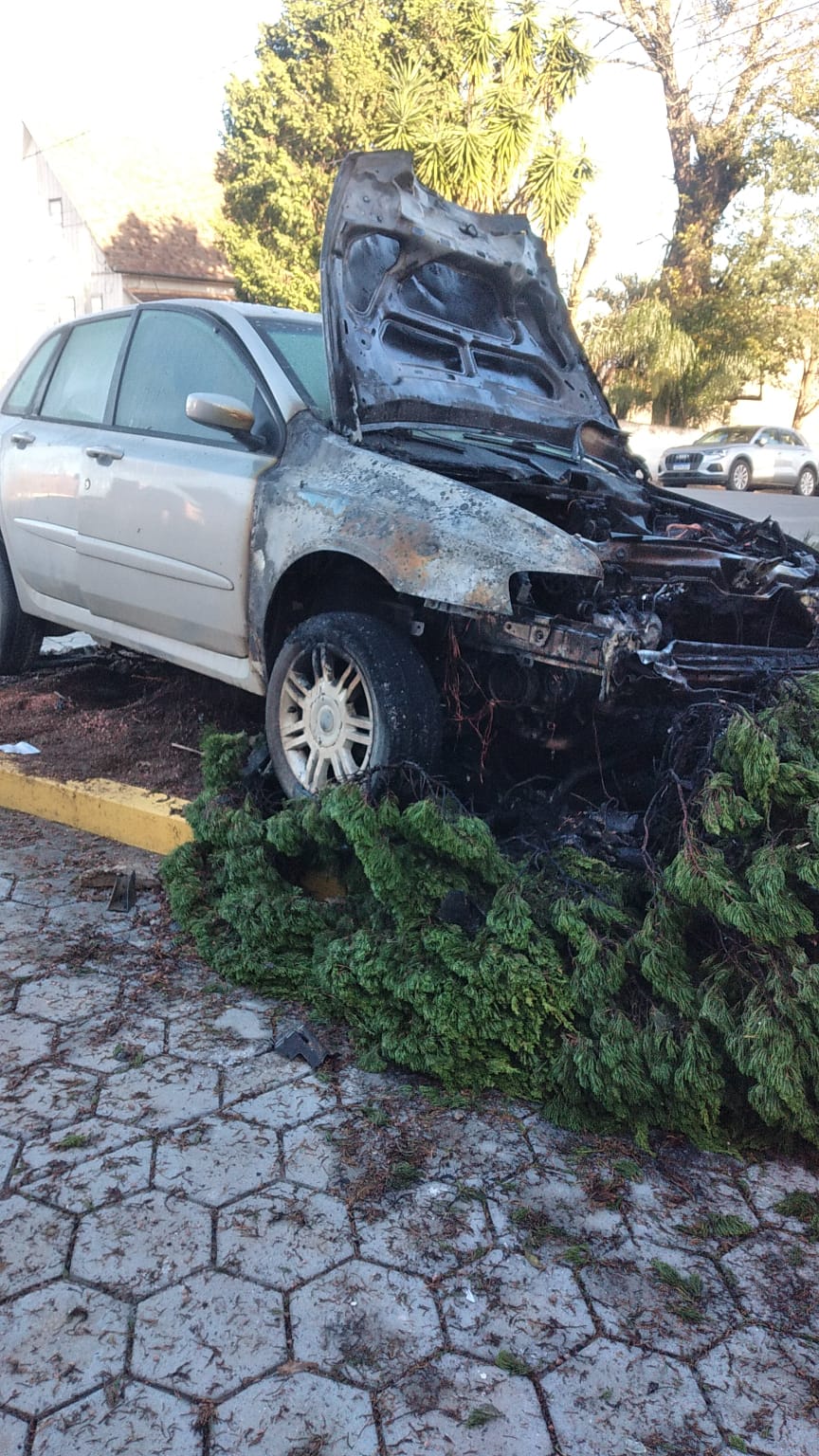 Motorista colide contra árvore no HBJ