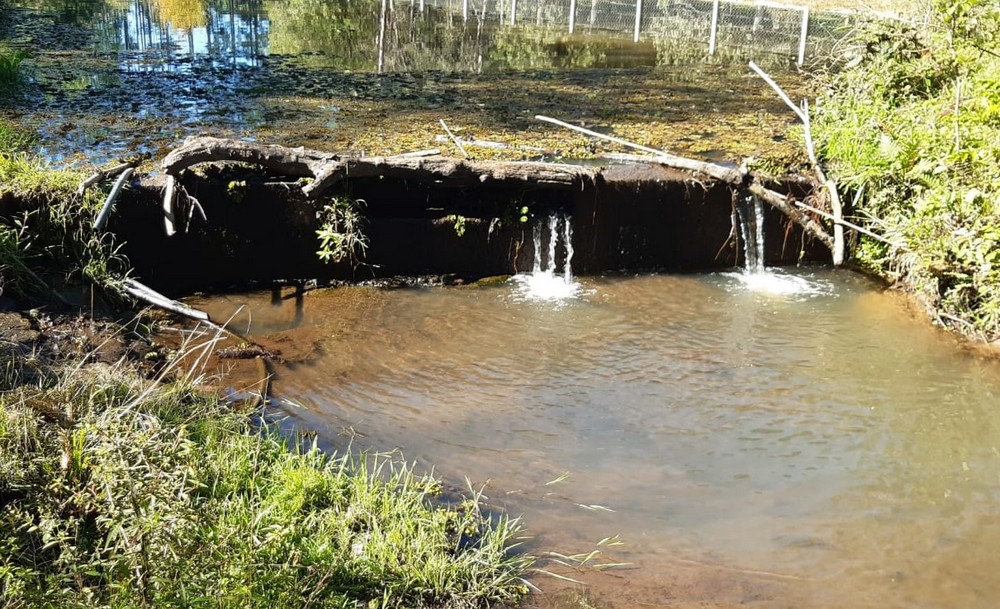 Domingo terá Caminhada na Natureza com novo e encantador trajeto nos Caminhos do Seminário