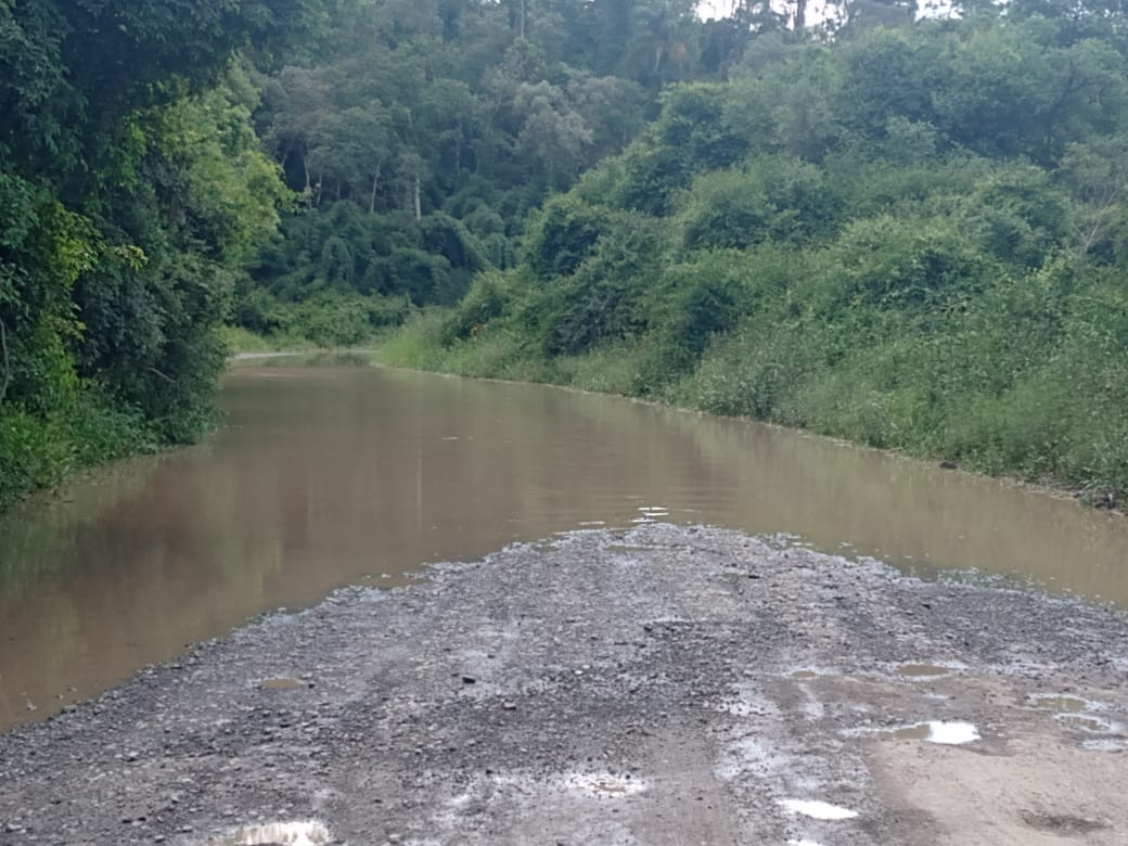 Atenção: cheia do rio Negro interdita estrada principal da Maitaca