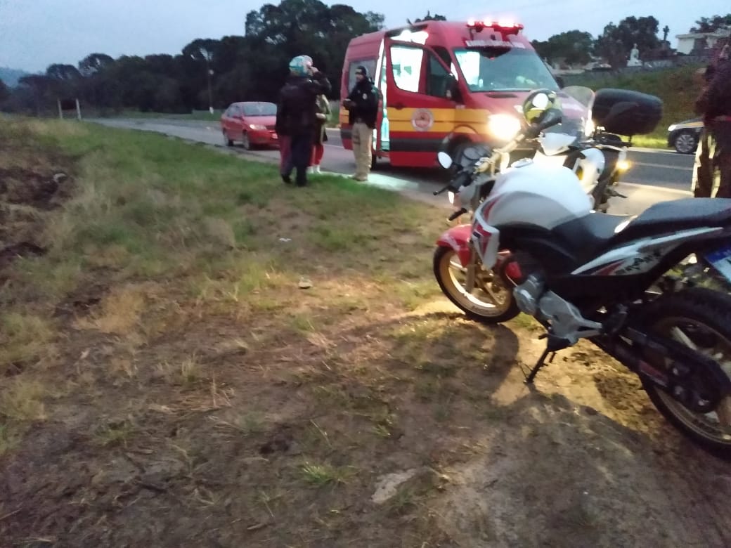 Cachorro causa queda de motociclista na BR-280